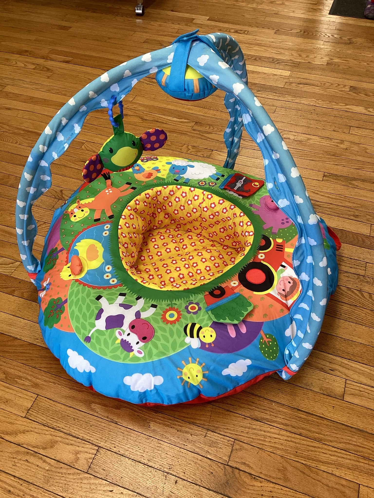 Galt Play Nest & Gym Activity Center