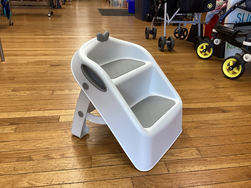 Potty Seat with ladder
