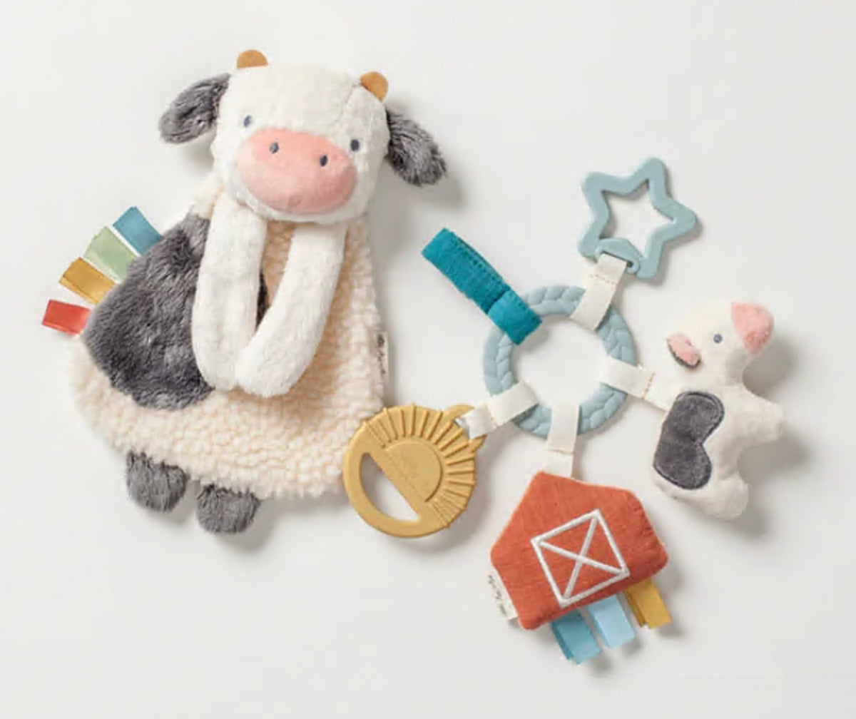 Itzy Ritzy - Bitzy Farm & Lovey Busy Gift Set