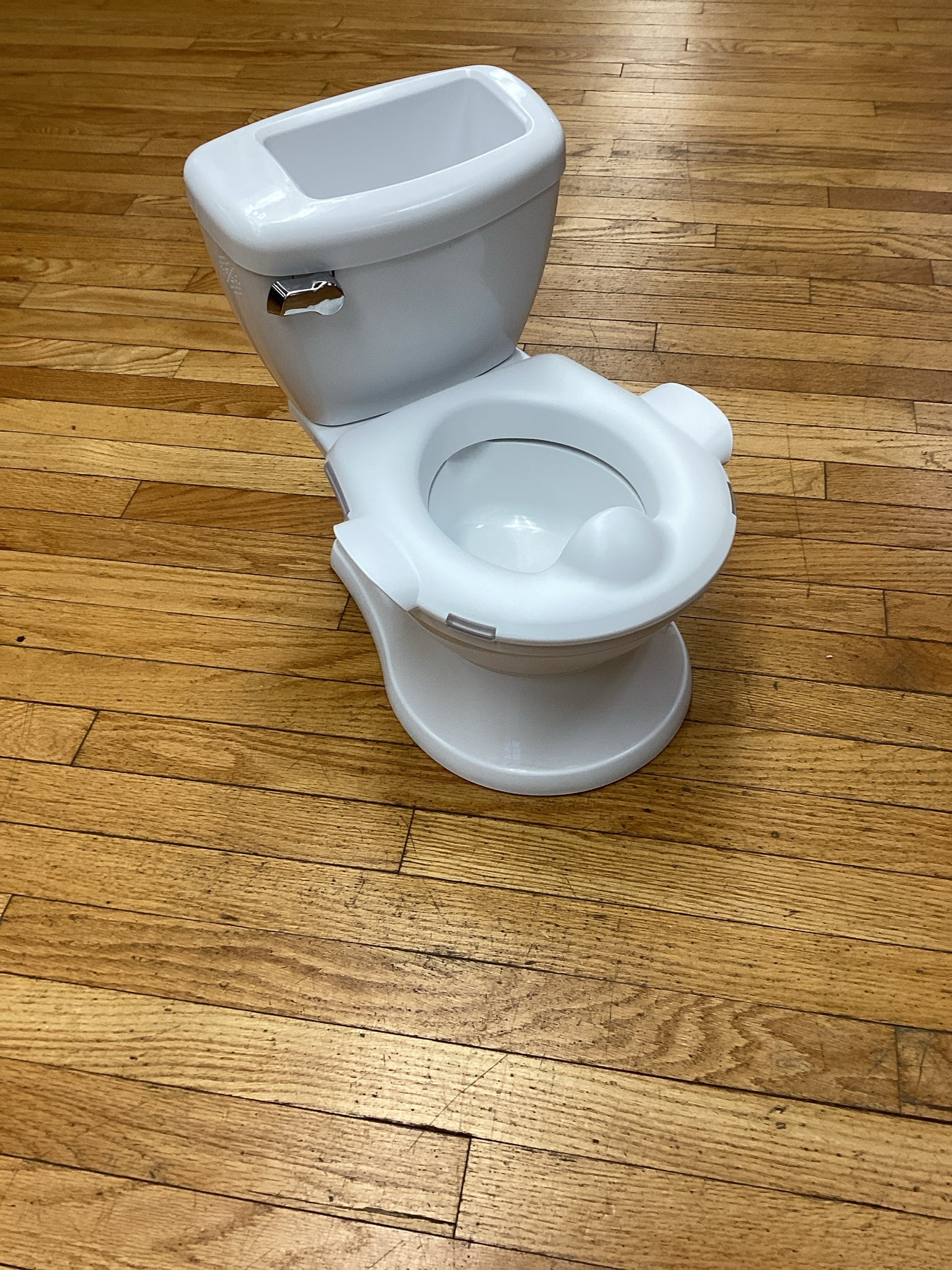Summer Infant My Size Potty