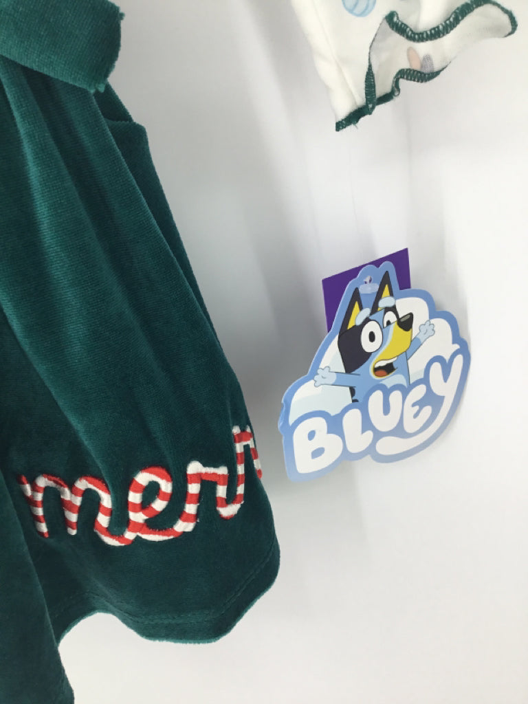 Bluey Child Size 3 Green Christmas Dress