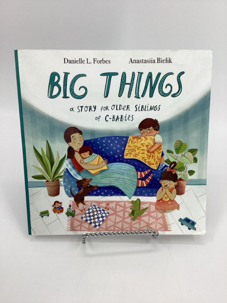 Big Things a Story for Older Siblings for C-Babies Paperback Book