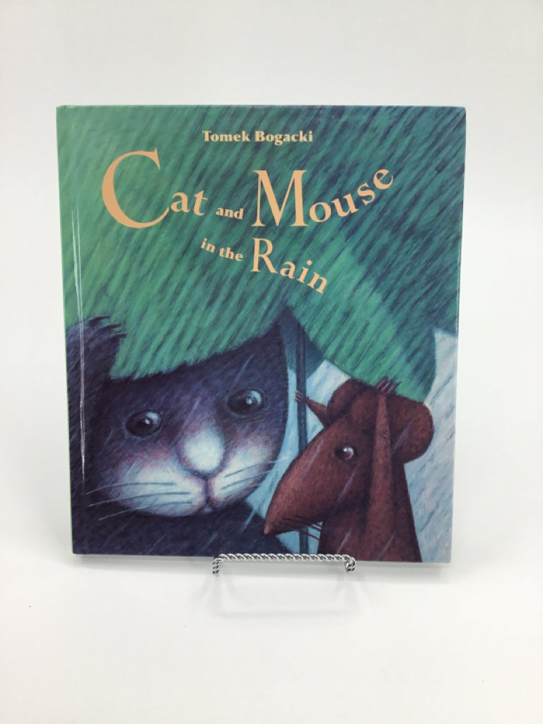 Cat and Mouse in the Rain Book
