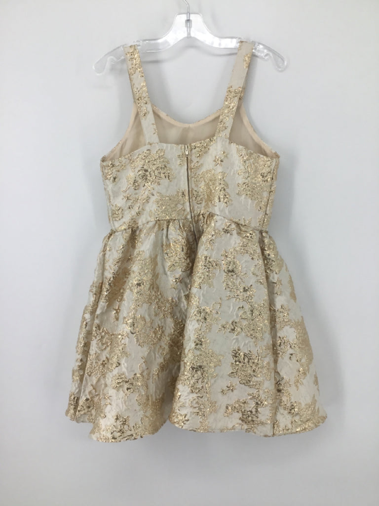 Pink & Violet Child Size 10 Tan Dress - girls