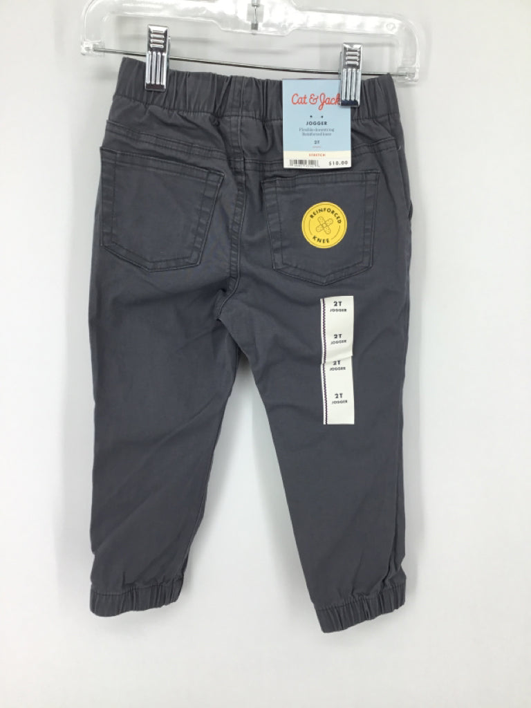 Cat & Jack Child Size 2 Gray Solid Pants - boys