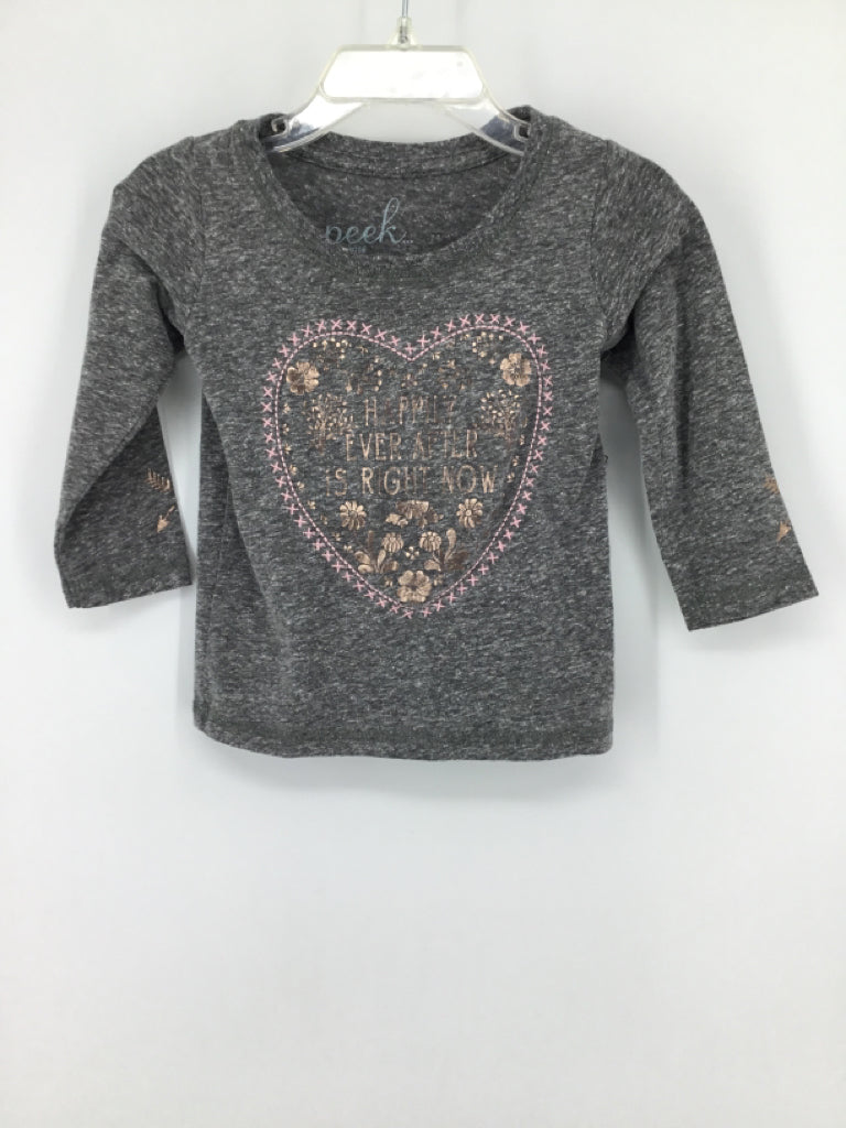 peek Child Size 12-18 Months Gray T-shirt - girls