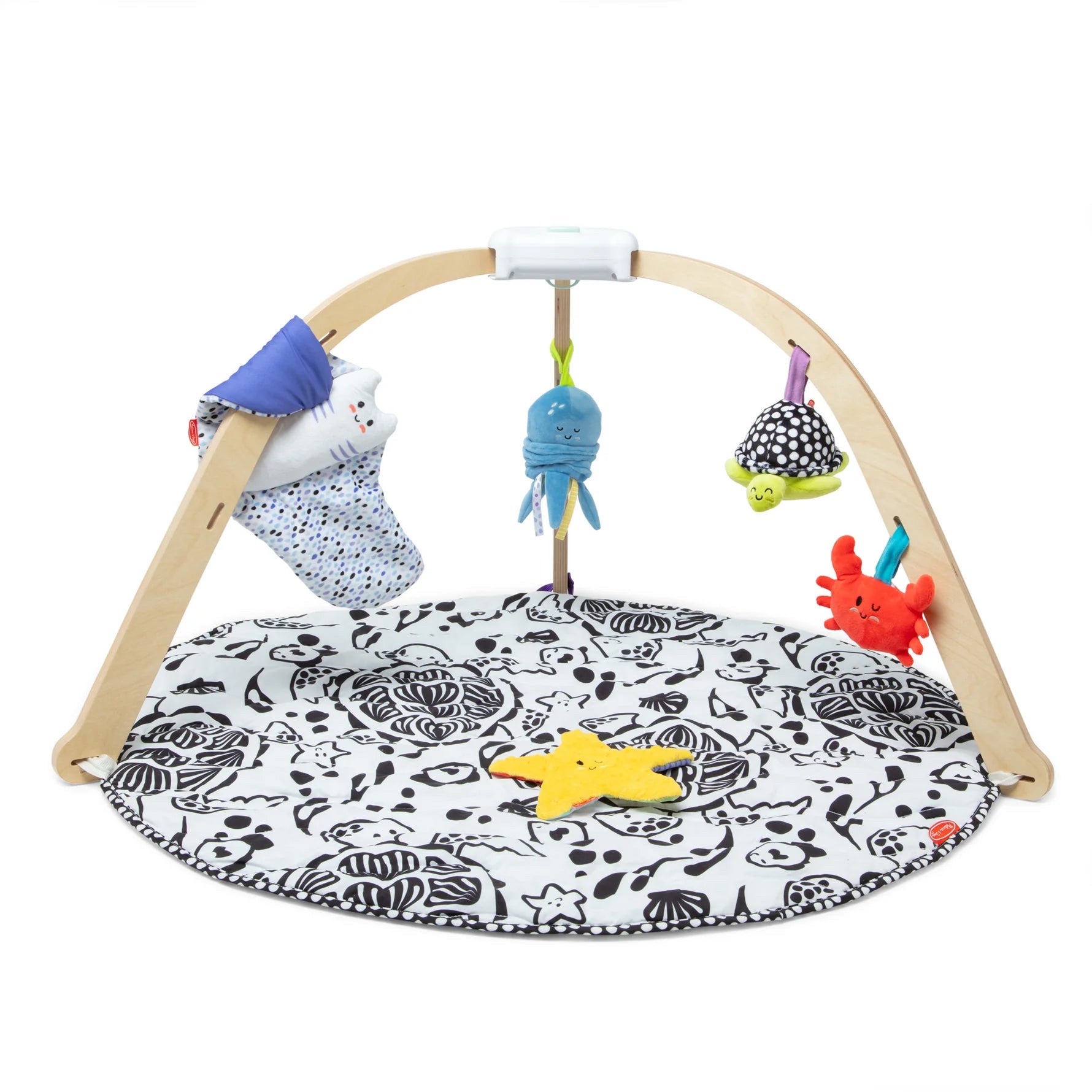 Melissa & Doug Ocean Easy Fold Play Gym