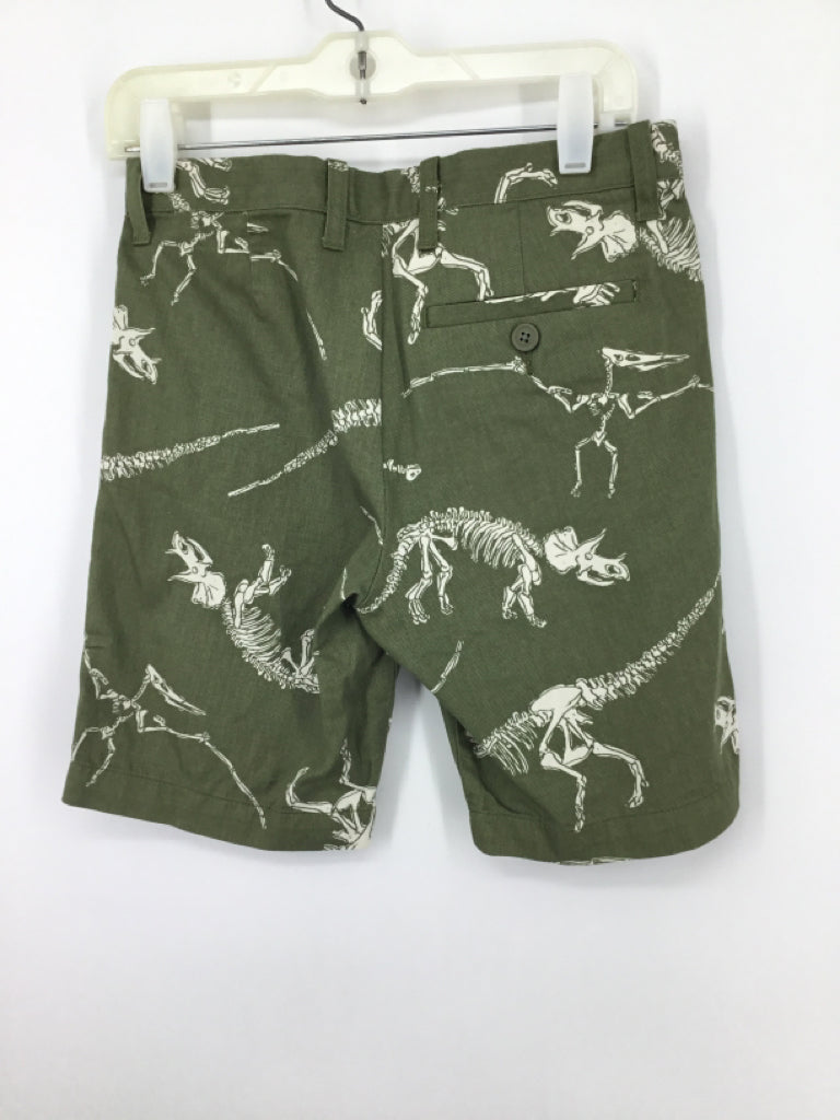 Crewcuts Child Size 8 Green Dinosaur Shorts - boys
