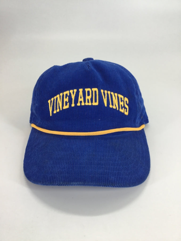 vineyard vines Child Size Child Blue Embroidered Hats - boys
