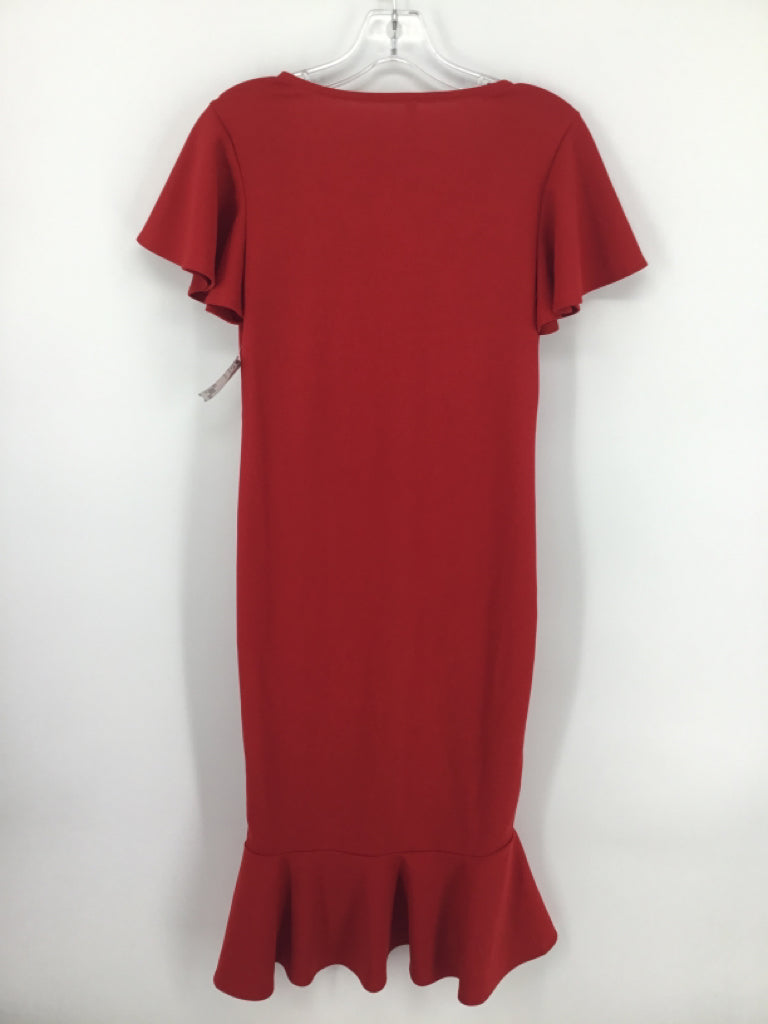 Pink Blush Size S Poly Blend Dress - Maternity