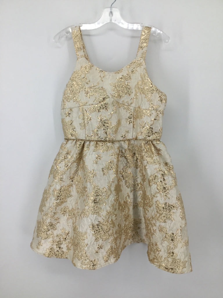 Pink & Violet Child Size 10 Gold Dress - girls