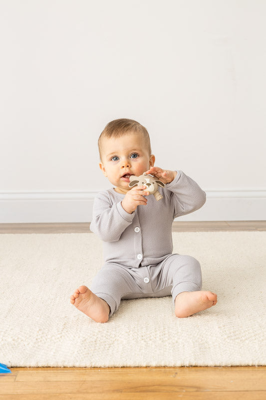 Itzy Ritzy - Baby Molar Teether (Puppy)