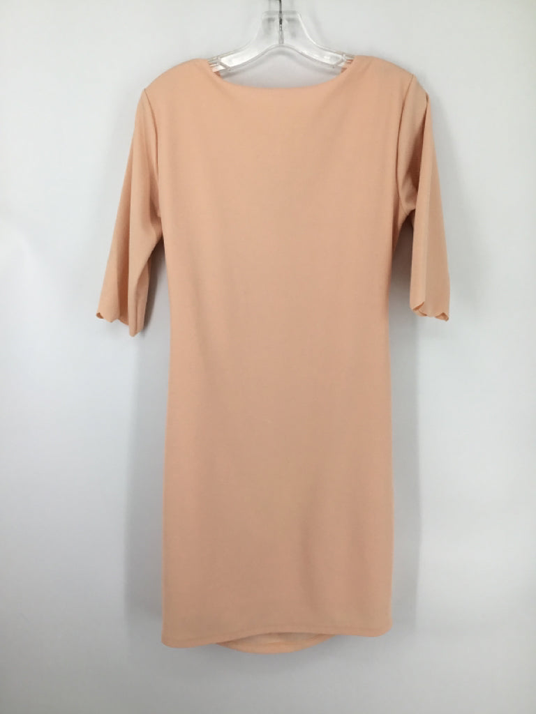 Pink Blush Size M Poly Blend Dress - Maternity