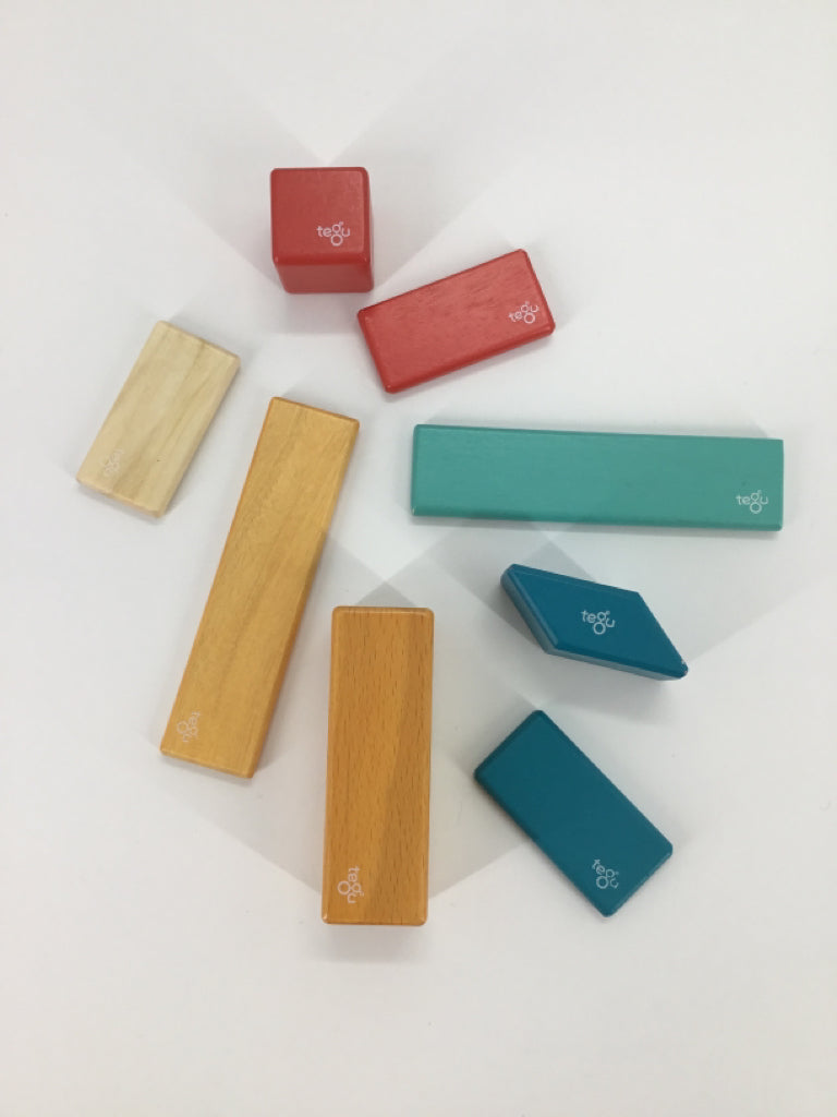 Assorted Magnetic Tegu Blocks Set of 8
