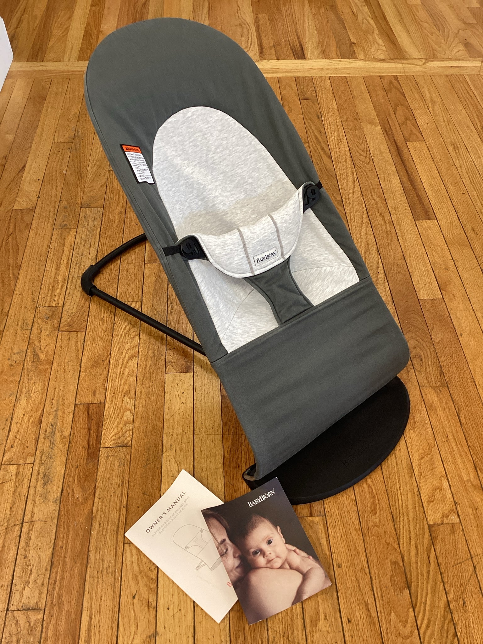 Baby Bjorn Gray Bouncer