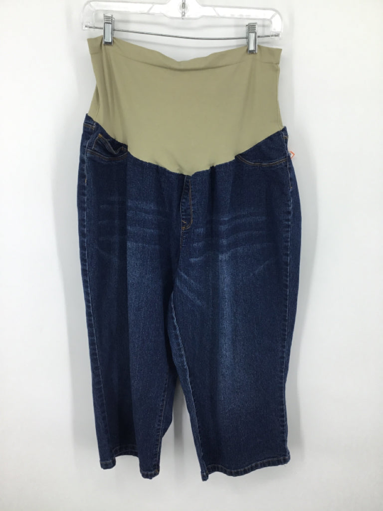 Hybrid & Company Size 3X Denim Jeans