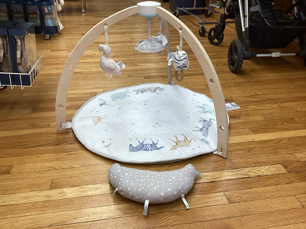 Aden & Anais Baby Activity Gym