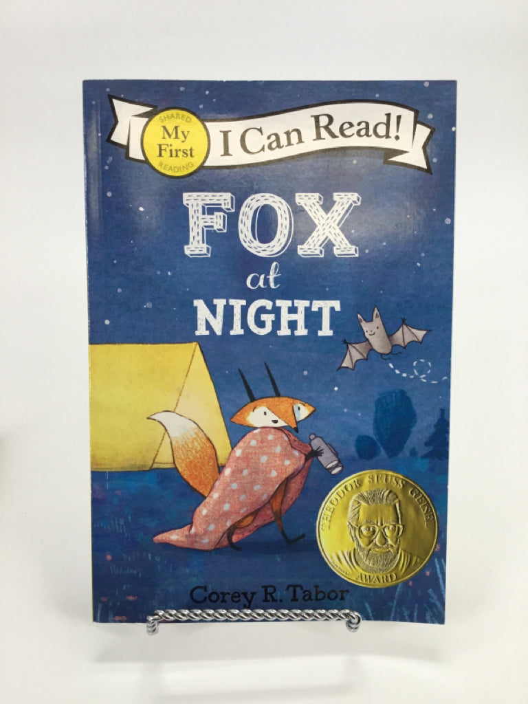 I Can Read! Fox at Night Paperback Book