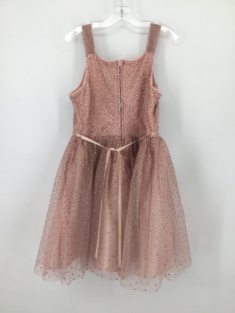 Pink & Violet Child Size 12 Pink Dress - girls