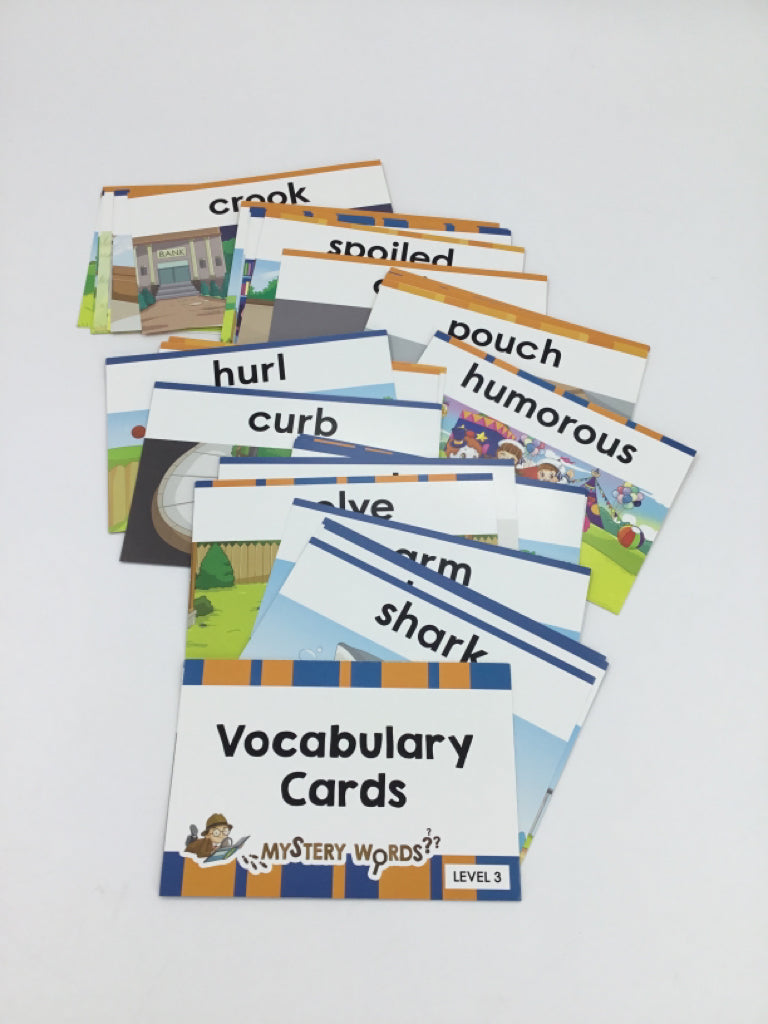 Mystery Words Vocabulary Cards - Level 3
