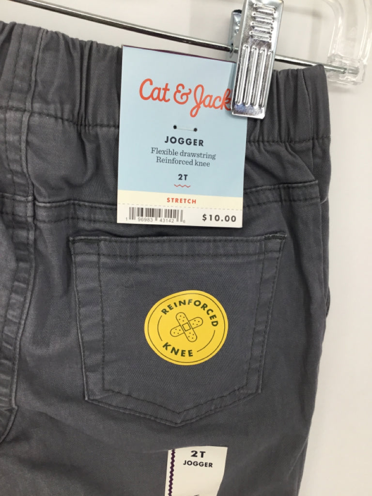 Cat & Jack Child Size 2 Gray Solid Pants - boys