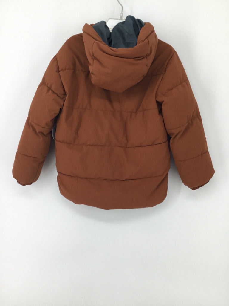 Zara Child Size 2 Brown Solid Outerwear - boys