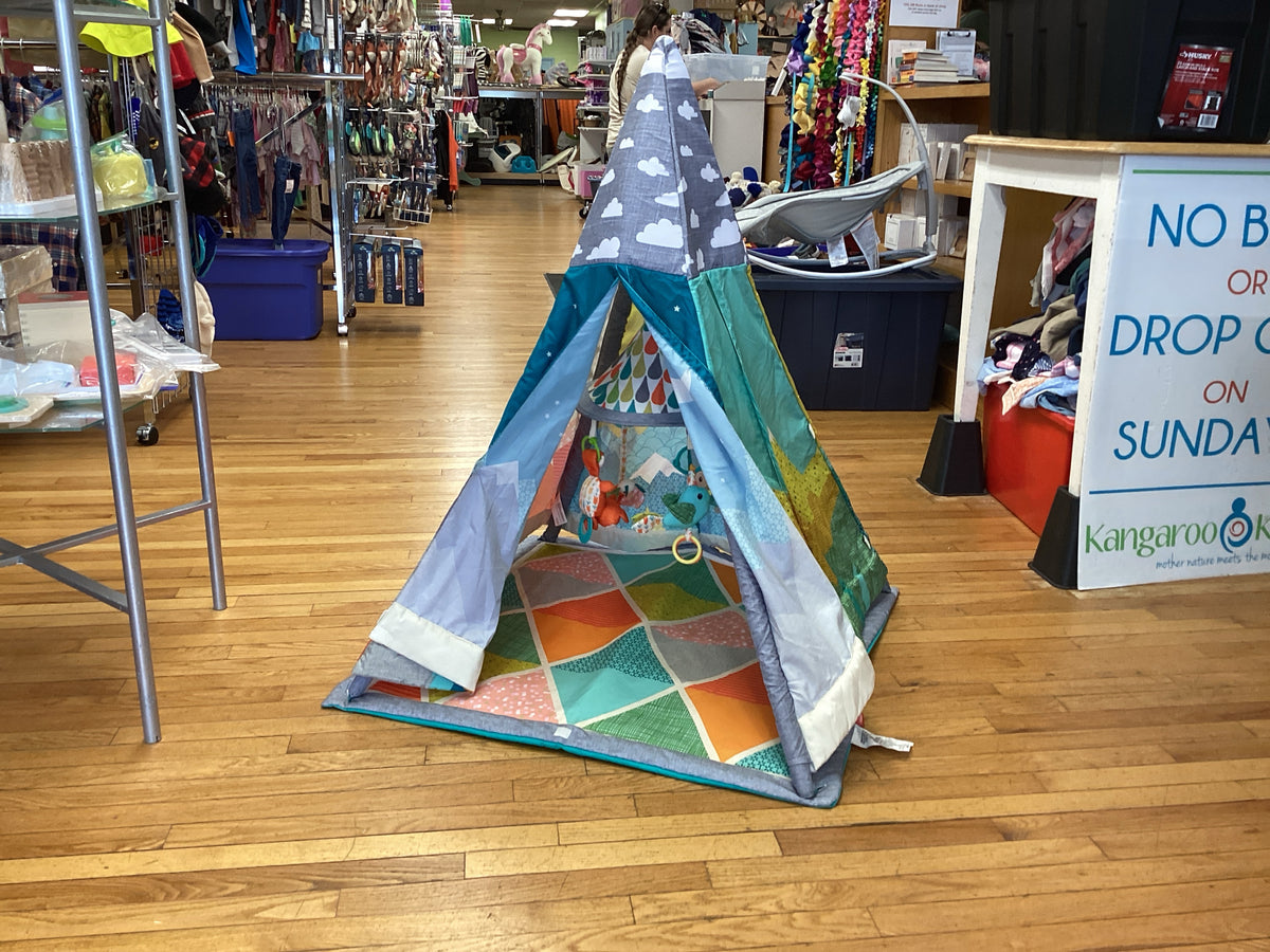 Infant to Toddler Play Gym & Fun Teepee