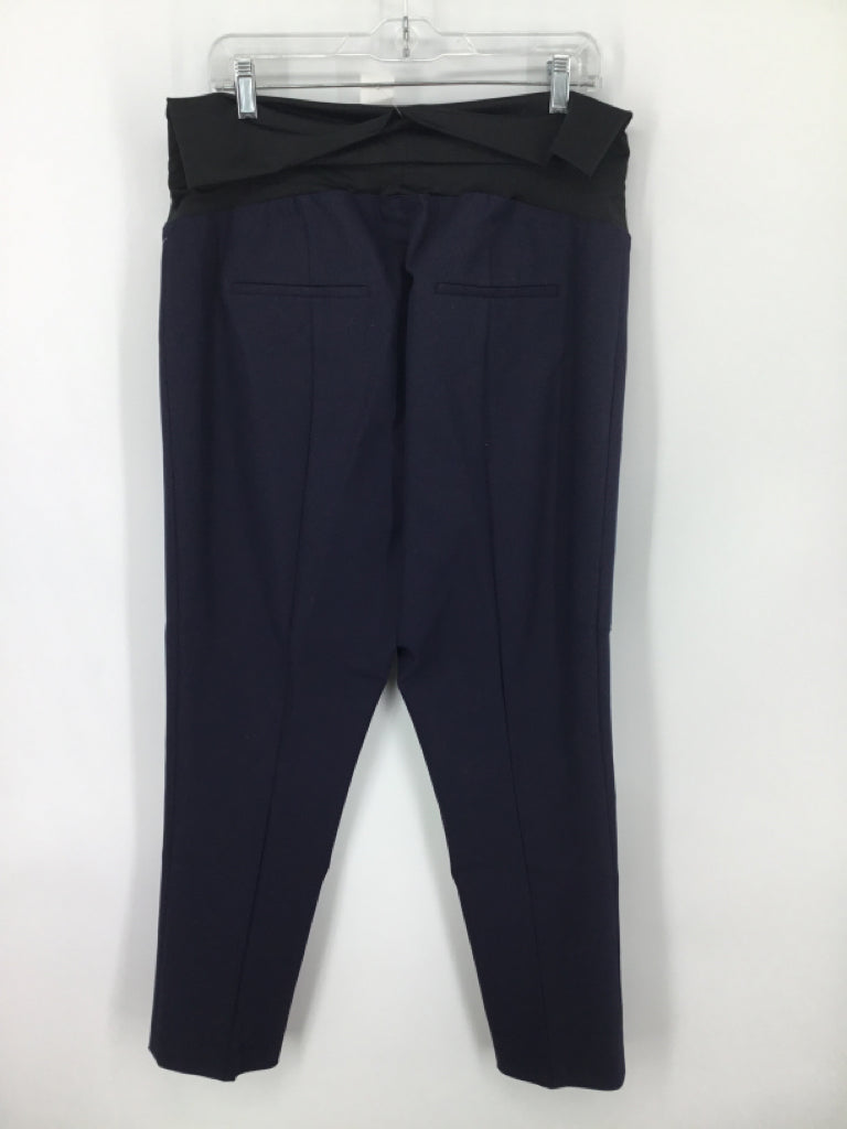 LOFT Size L Poly Blend Pants