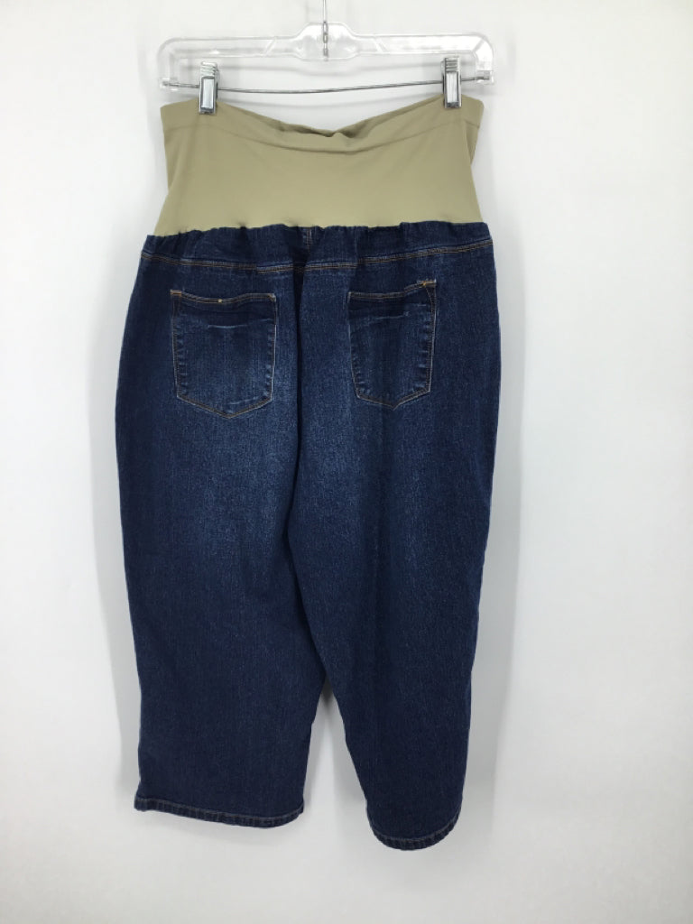 Hybrid & Company Size 3X Denim Jeans