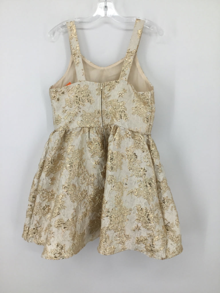 Pink & Violet Child Size 10 Gold Dress - girls