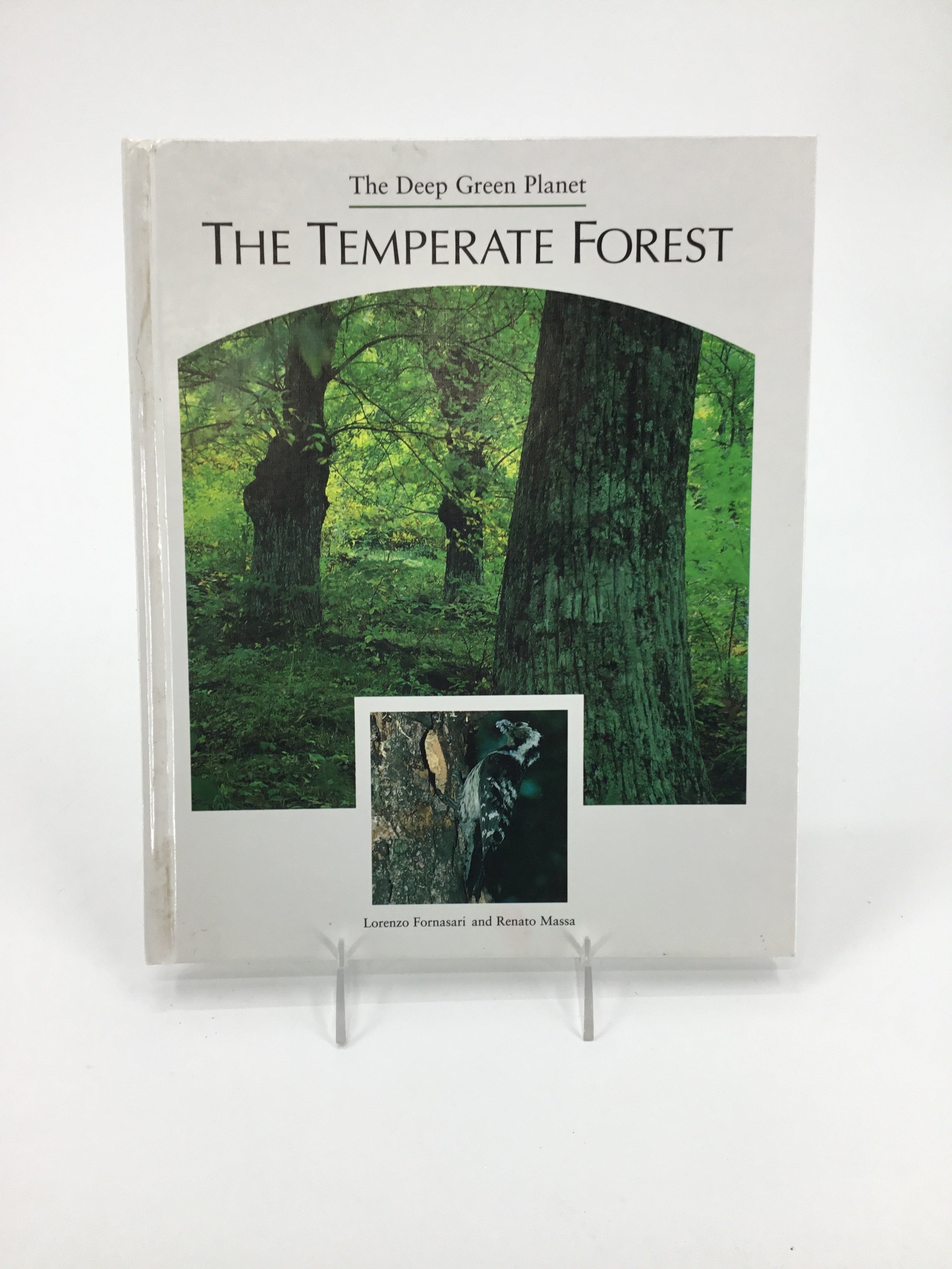 The Temperate Forest Hardback Book