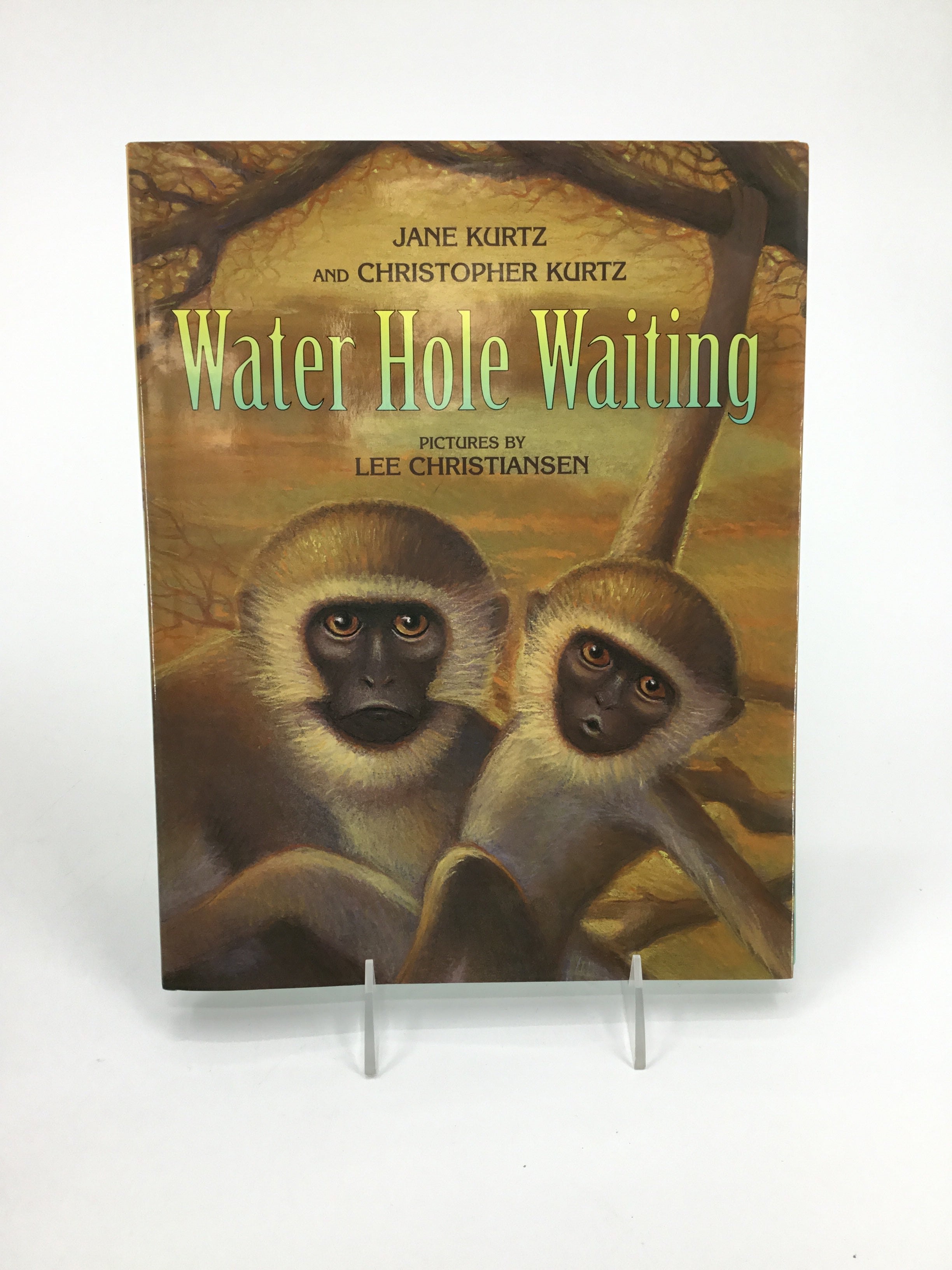 Water Hole Waiting Hardback Book