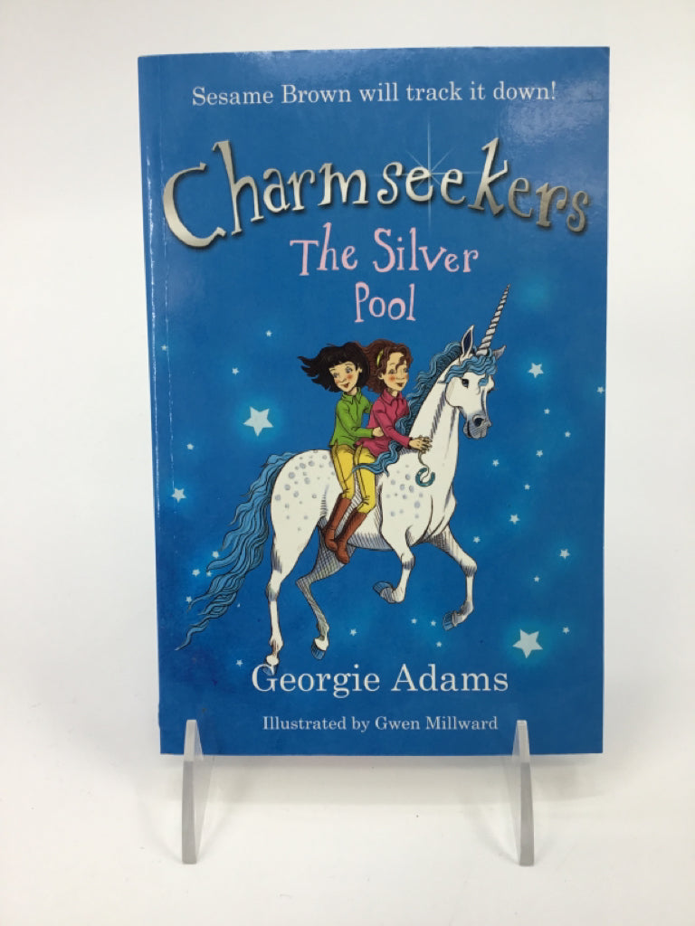Charmseekers The Silver Pool Paperback Book