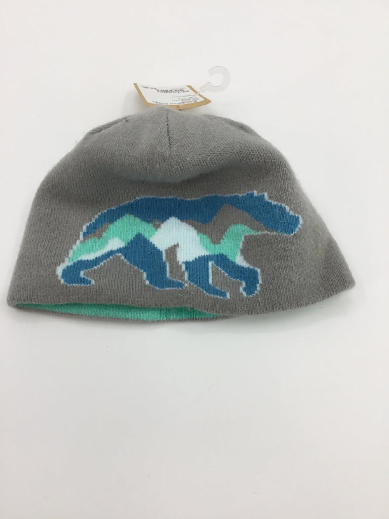 The North Face Child Size Toddler Gray Solid Hats - boys